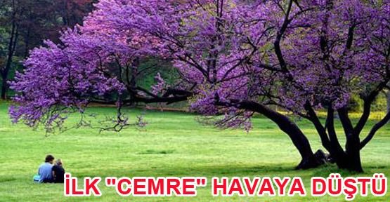 İlk Cemre Bugün Düşüyor