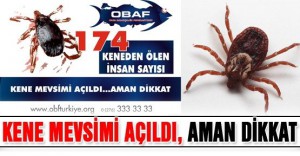 Havaların Erken Isınması Keneleri Uyandırdı