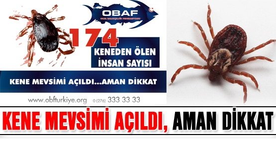 Havaların Erken Isınması Keneleri Uyandırdı