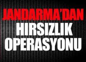 Silivri’de Jandarmadan Hırsızlık Operasyonu
