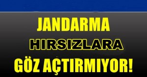 Silivri Jandarma ekiplerinden başarılı operasyon