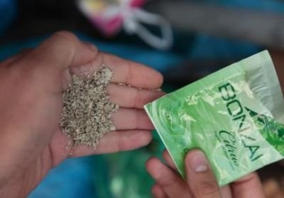 Çorlu’da 13 Gram Bonzai Ele Geçirildi