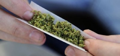 Üzerinden Esrar Çıkan Kişi Gözaltına Alındı