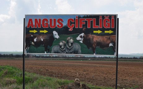 Çiftlikle İlgili Sunuyu Köy Sakinleri Dinlemedi