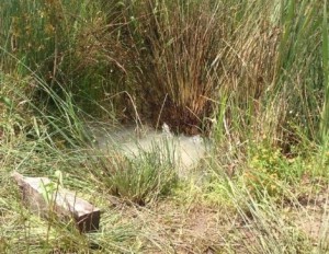 Depremden Sonra Korkutan Görüntü