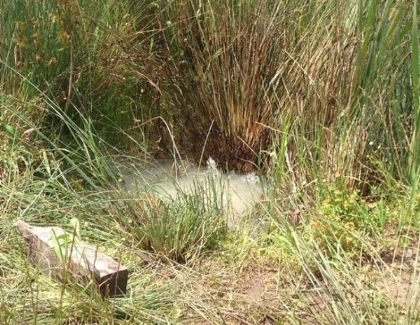 Depremden Sonra Korkutan Görüntü