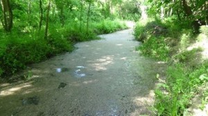 Kula Dere Alarm Veriyor