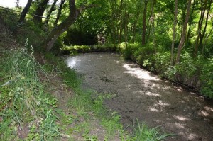 Çevrecilik beyanat vermekle ya da, belediyeden çay bahçesi almakla olmuyor-muş…