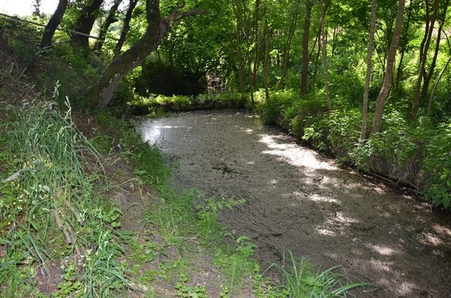 Çevrecilik beyanat vermekle ya da, belediyeden çay bahçesi almakla olmuyor-muş…