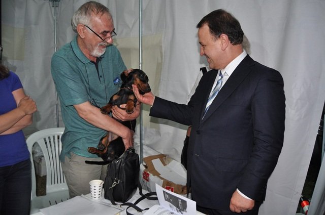 Dünya Köpek Irkları Yarışması 7. Kez Silivri’deydi