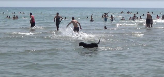 Silivri sıcaktan yanıyor