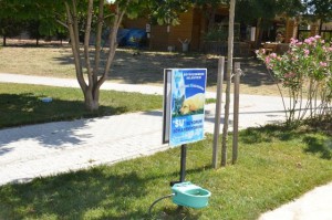 Sahipsiz  hayvanlar susuz kalmayacak