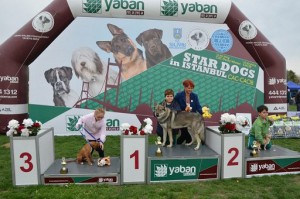 KÖPEK SEVERLER SİLİVRİ’DE BULUŞTU