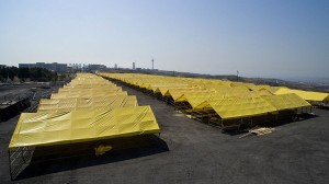 İstanbul’un En Modern Kurban Tesisi Büyükçekmece’de