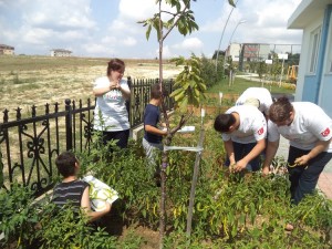 Engelliler Hobi Bahçesinde Terapi Oluyor