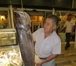 Büyükçekmece’de Akya Balığı