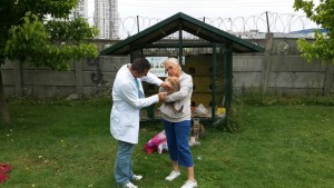 Ücretsiz Kuduz Aşısına Büyük İlgi