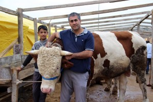 Esenyurt Belediyesi, Kurbana Hazır