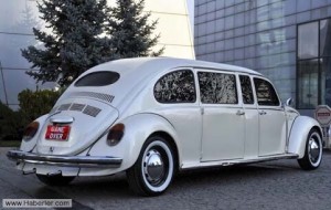 En Cicimiz Vosvos Festivali