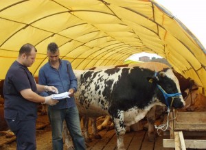 Avcılar’da Kurban Satış ve Kesim Yerleri Hazır