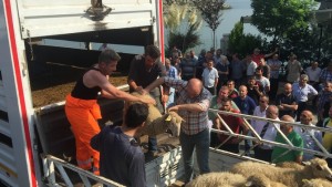 Ünlü İş Adamından 3 Tır Kurban!