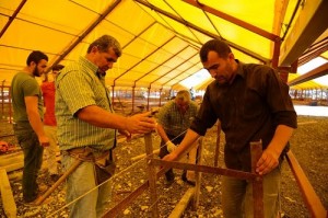 Beylikdüzü Modern Kurban Satış Ve Kesim Yeri, Yeni Yerinde Bayrama Hazırlanıyor