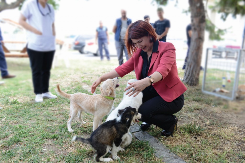 Başkan Dr. Handan Toprak’tan  4 Ekim Dünya Hayvanları Koruma Günü Mesajı