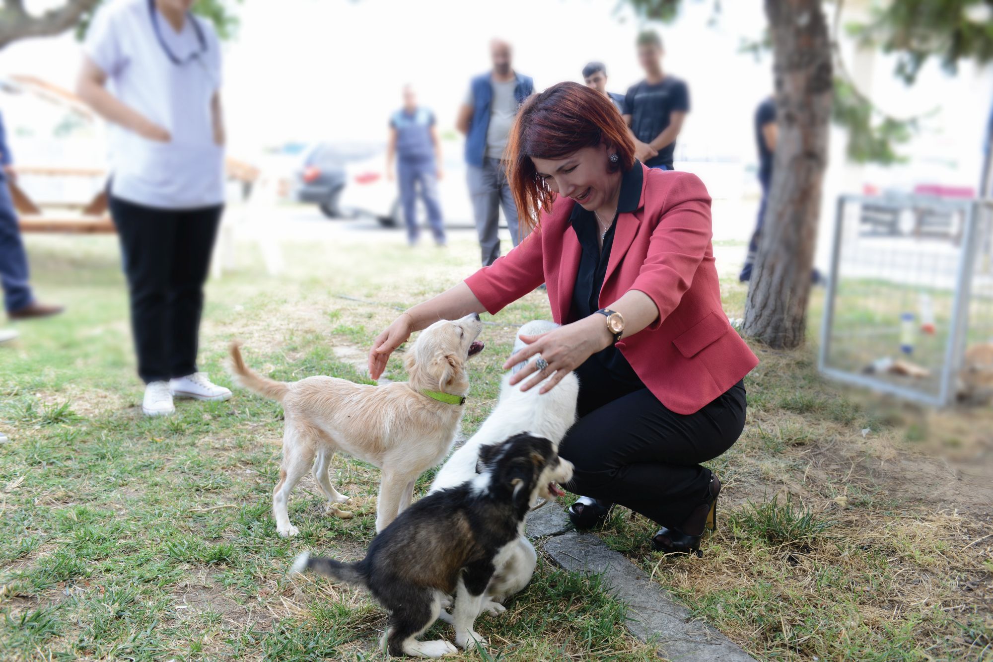 Başkan Dr. Handan Toprak’tan  4 Ekim Dünya Hayvanları Koruma Günü Mesajı