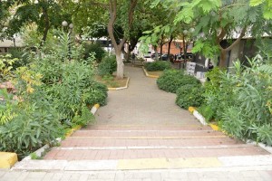 Dursun Bakan Parkı Yenileniyor