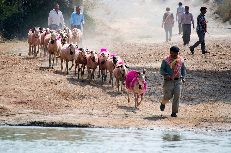 8 Asırlık Gelenek Büyükçekmece’de Sergilenecek