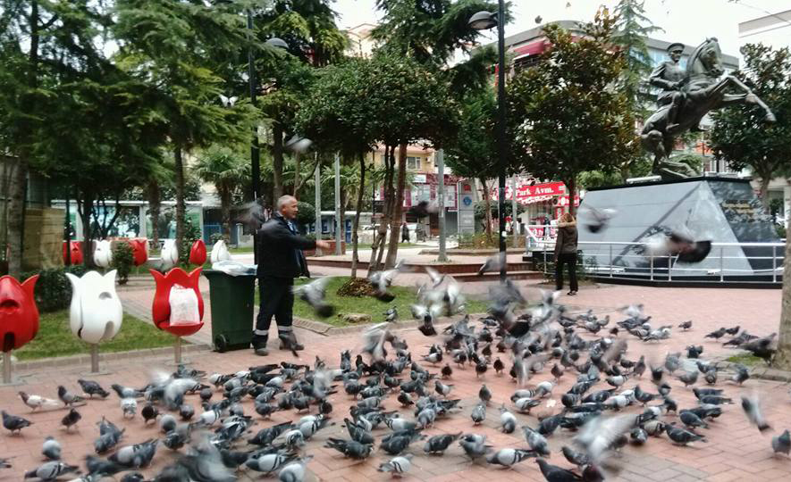 Avcılar’da Sevimli Dostlarımız Üşümeyecek