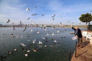 Büyükçekmece Dalyan’da yaşam yeniden renklendi