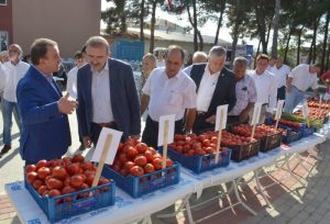 DEĞİRMENKÖY’DE EN İYİ DOMATES YARIŞMASI