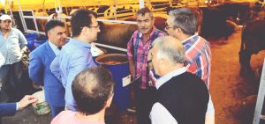 BEYLİKDÜZÜ MODERN KURBAN SATIŞ VE KESİM YERİ HİZMETE HAZIR