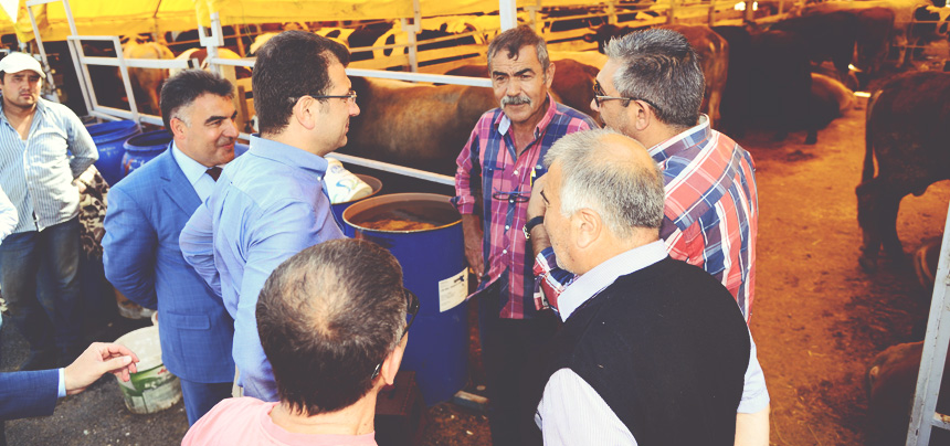 BEYLİKDÜZÜ MODERN KURBAN SATIŞ VE KESİM YERİ HİZMETE HAZIR