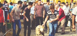 BEYLİKDÜZÜ’NDE İHTİYAÇ SAHİPLERİNE 4,5 TON KURBAN BAĞIŞI