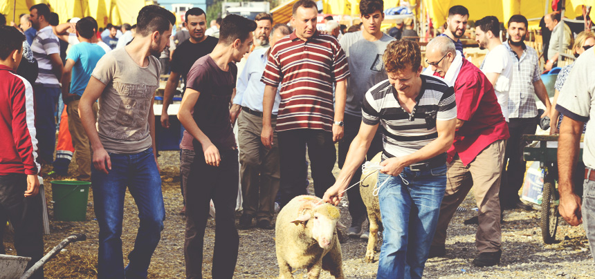 BEYLİKDÜZÜ’NDE İHTİYAÇ SAHİPLERİNE 4,5 TON KURBAN BAĞIŞI