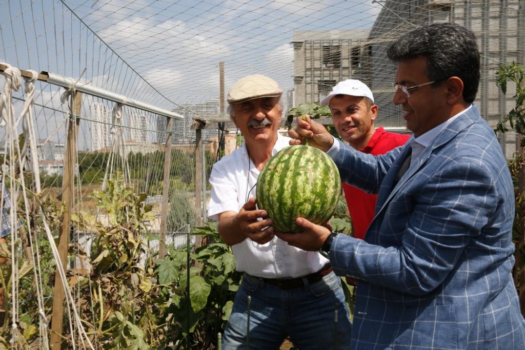 HOBİ BAHÇESİ YENİ SAHİPLERİNİ ARIYOR