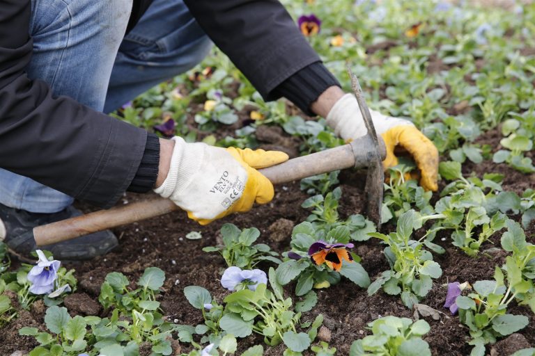 KÜÇÜKÇEKMECE’DEN BİR MİLYON ÇİÇEK