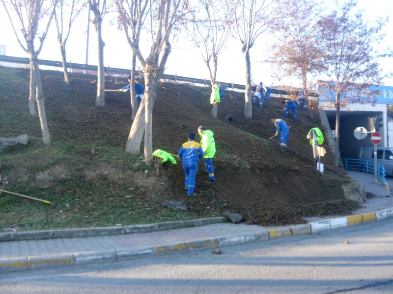 TOPRAK DOSTU ÇİMLENDİRME ÇALIŞMALARI SÜRÜYOR