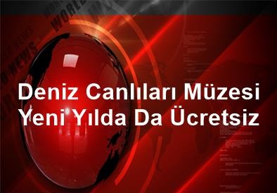 Beylikdüzü Deniz Canlıları Müzesi Yeni Yılda da Ücretsiz