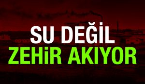 Ergene Zehir Akıyor