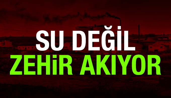 Ergene Zehir Akıyor