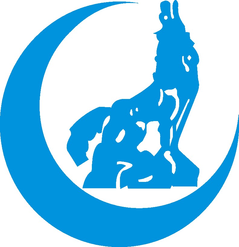 Ülkücüler Şehitler İçin Mevlit Düzenliyor