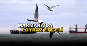 Marmara’da Deniz Ulaşımına Poyraz Engeli
