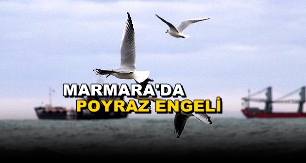 Marmara’da Deniz Ulaşımına Poyraz Engeli