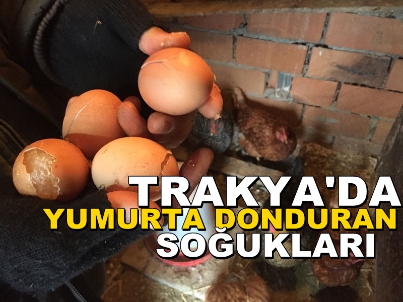 Trakya’da “Yumurta Donduran” Soğuklar