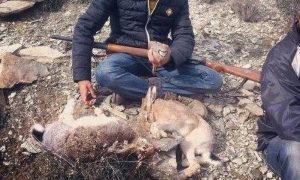 Kaçak Avcılarla Mücadele