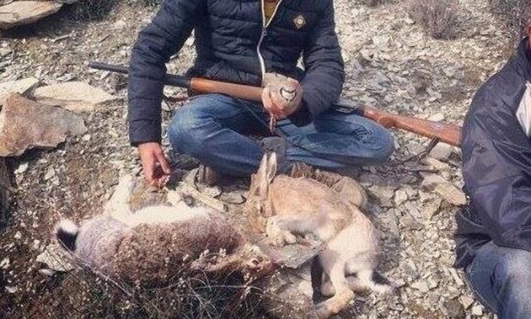 Kaçak Avcılarla Mücadele