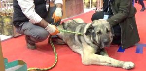 25 Bin TL teklif ettiler, satmadı…